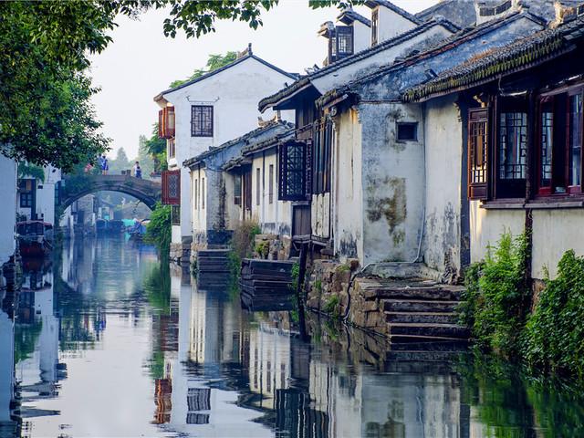 唯一的幸存者